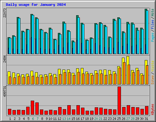 Daily usage for January 2024