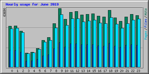 Hourly usage for June 2019