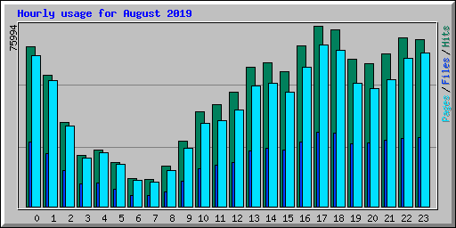 Hourly usage for August 2019