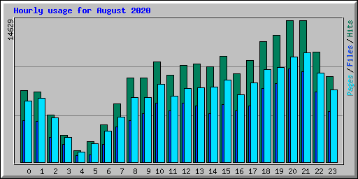 Hourly usage for August 2020