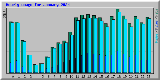 Hourly usage for January 2024