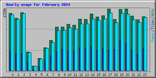 Hourly usage for February 2024