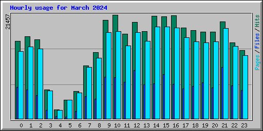 Hourly usage for March 2024