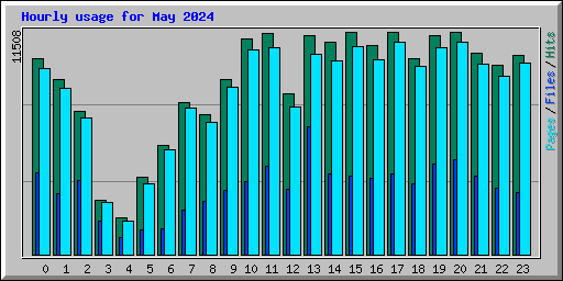 Hourly usage for May 2024