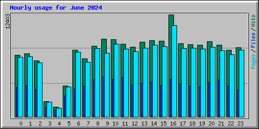 Hourly usage for June 2024