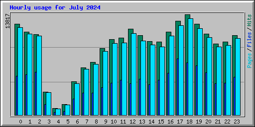 Hourly usage for July 2024