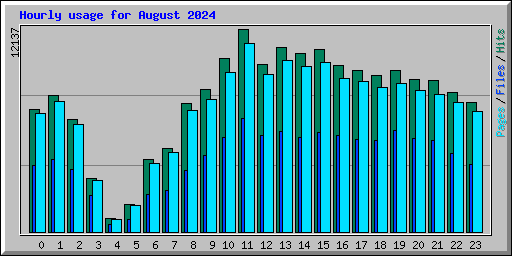Hourly usage for August 2024