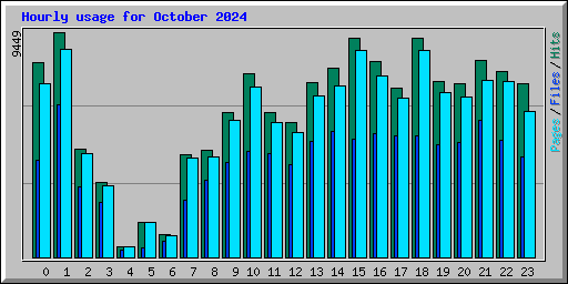 Hourly usage for October 2024