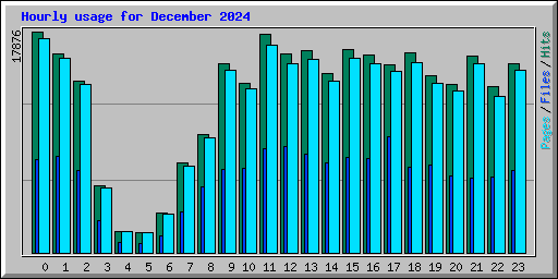 Hourly usage for December 2024