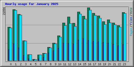 Hourly usage for January 2025