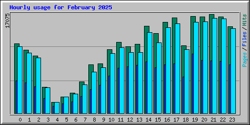 Hourly usage for February 2025