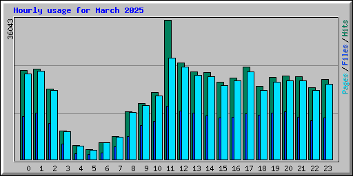 Hourly usage for March 2025