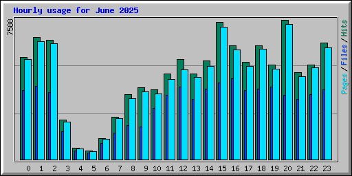 Hourly usage for June 2025