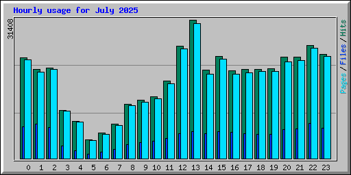 Hourly usage for July 2025