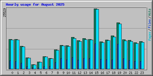 Hourly usage for August 2025