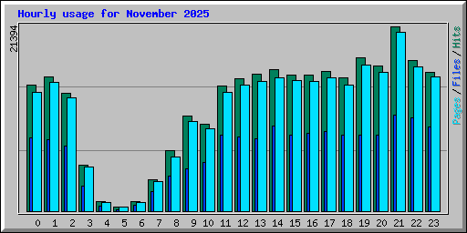 Hourly usage for November 2025