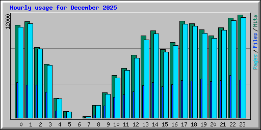 Hourly usage for December 2025