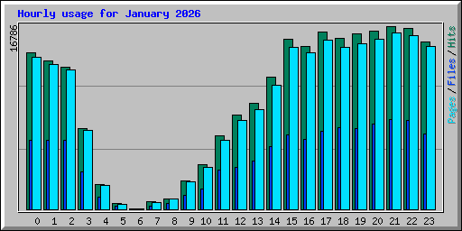 Hourly usage for January 2026