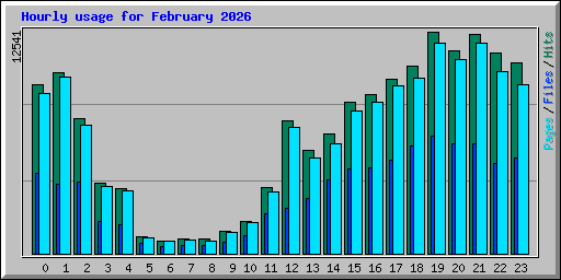 Hourly usage for February 2026