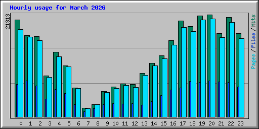 Hourly usage for March 2026