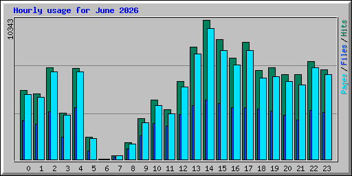 Hourly usage for June 2026