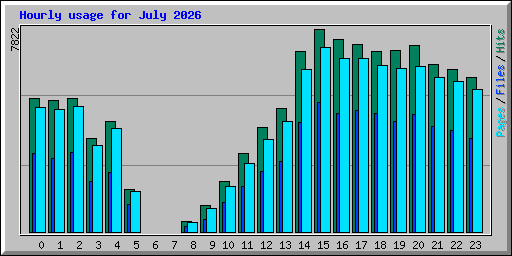 Hourly usage for July 2026