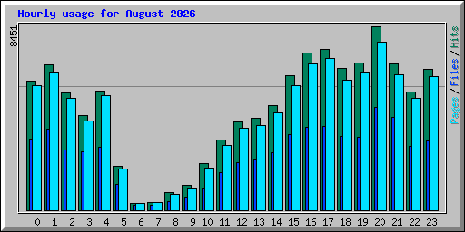 Hourly usage for August 2026